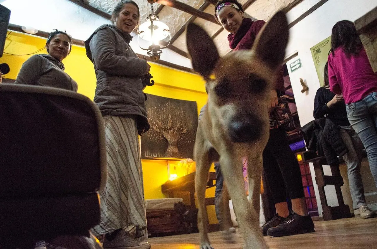 Chulla Hostel Cultural (Adults Only) Quito Ecuador